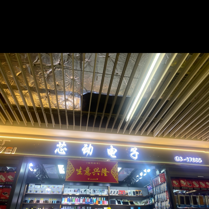 芯动电子科技