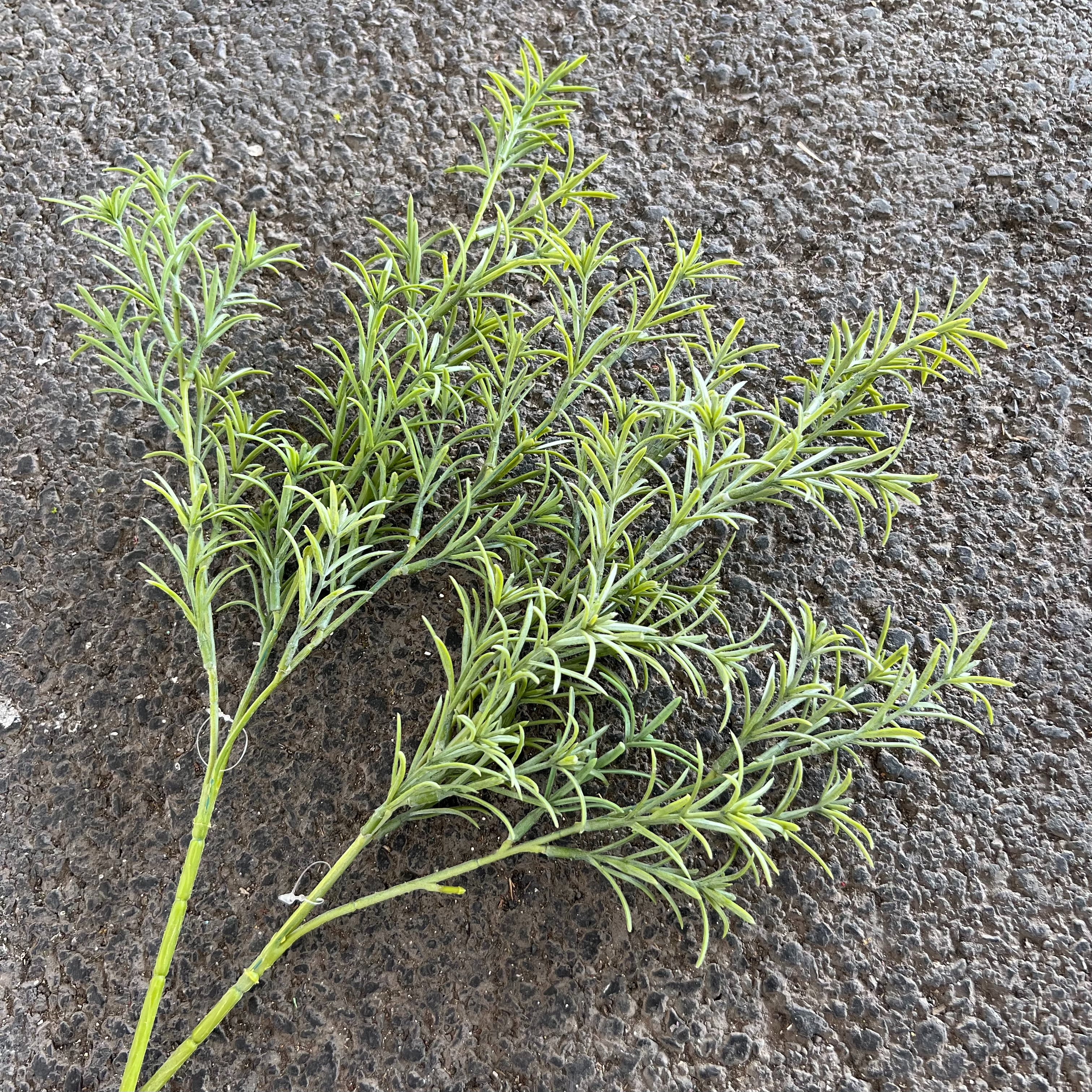 Simulación hierba de mickey vegetación hoja de helecho hierba de persia hierba acuática planta de pared decorativa decorativa de paisaje hoja al por mayor