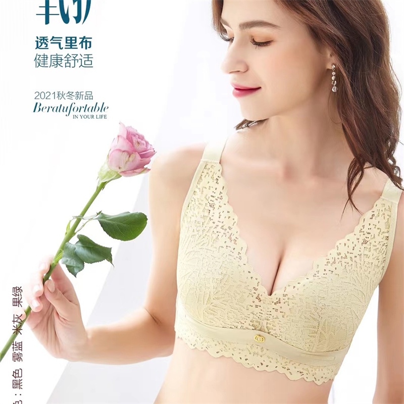 Large Breasts With Small Elegance Lace Mesh Bra Women's Comfortable Underwire Underwear Push-Up Adjustable Bra details Picture