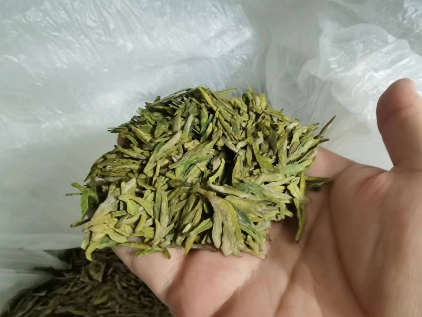 龙井茶（一级）杭州龙井茶钱塘龙井进化茶叶进化大岩山茶叶杭州特产