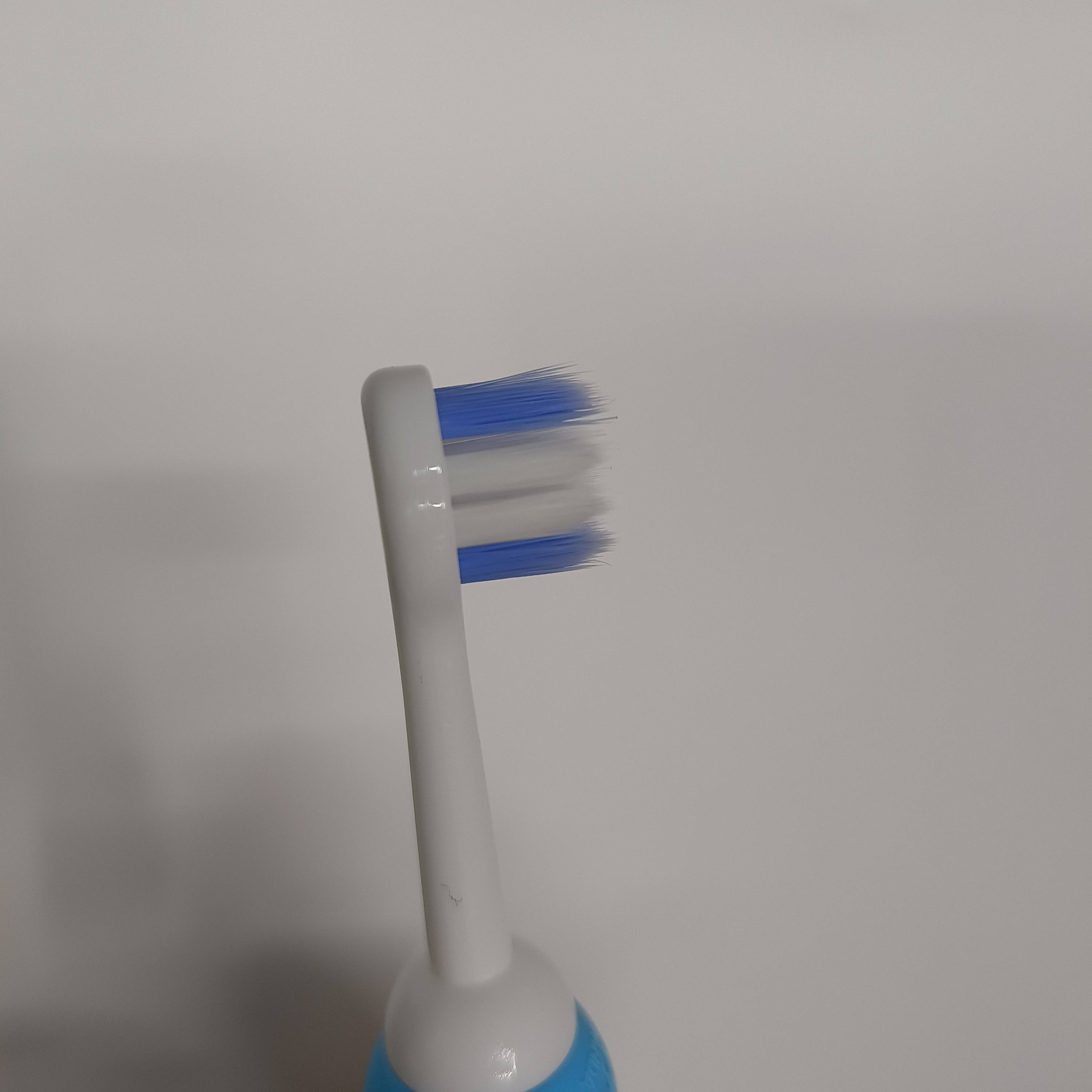 义乌牙刷批发 帝门特530儿童可爱牙刷熊猫卡通柄软毛清洁口腔牙刷详情1