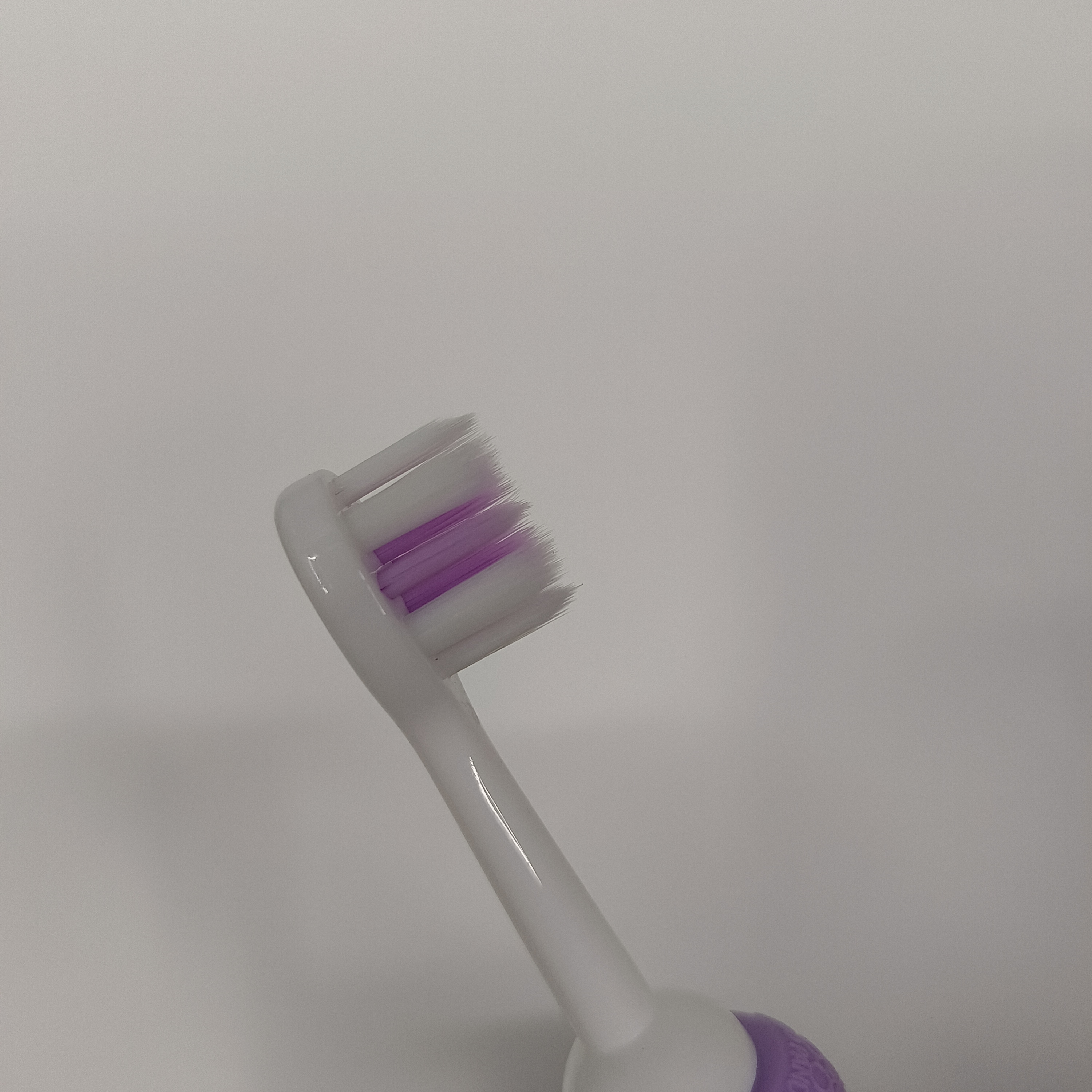 义乌牙刷批发 帝门特531儿童可爱牙刷熊猫卡通柄软毛清洁口腔牙刷详情7