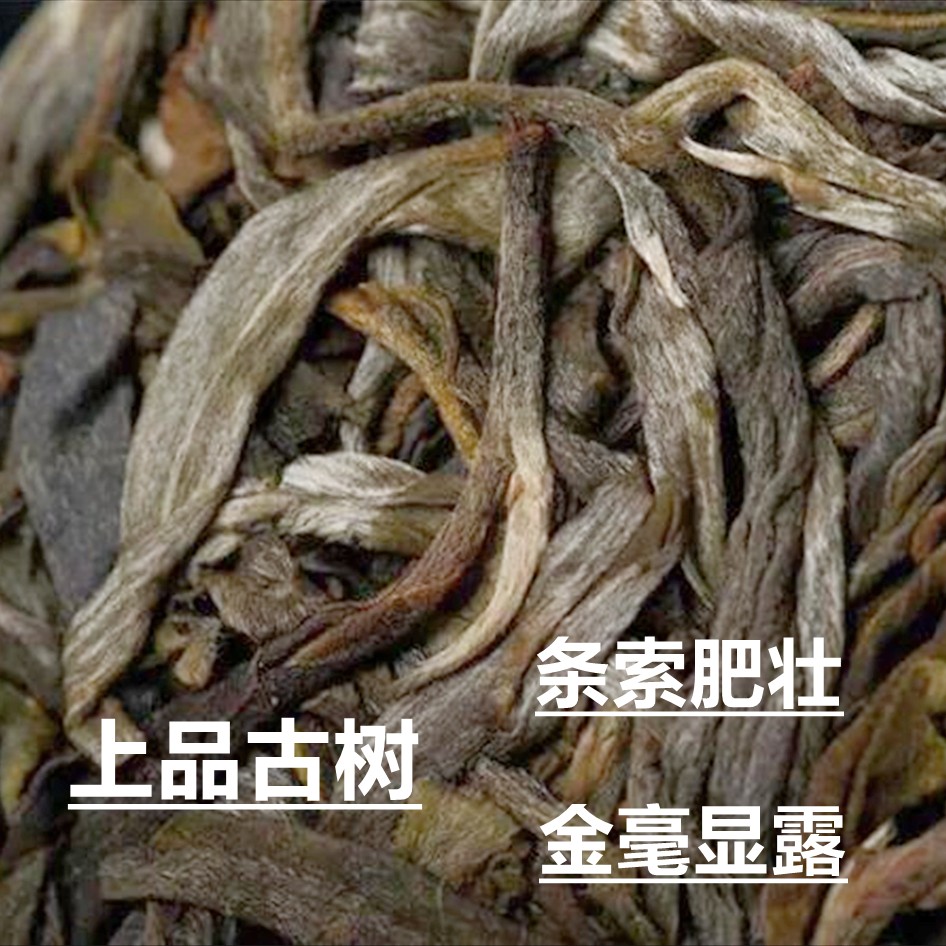 A 500-year-old tree in Sayaburi, Laos, weighs 400g Specification image