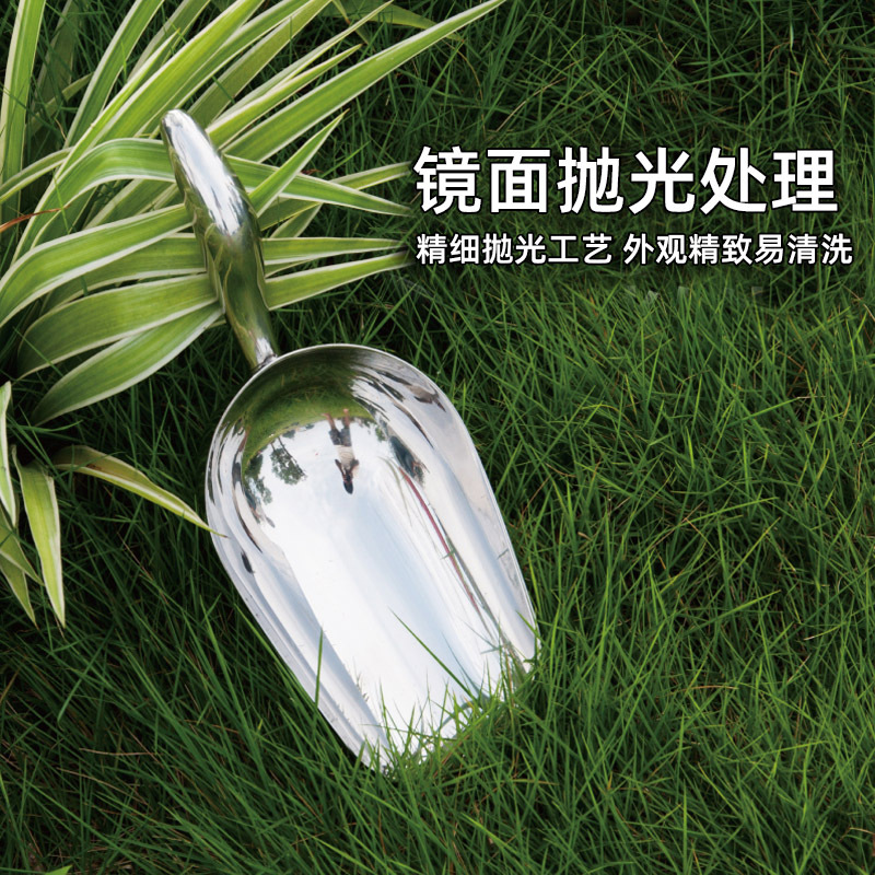 特厚B型直柄/多用弧柄铲/冰铲加厚/不锈钢小铲子/花铲铁锹/铁铲户外/养花种花盆/DF TRADING HOUSE细节图