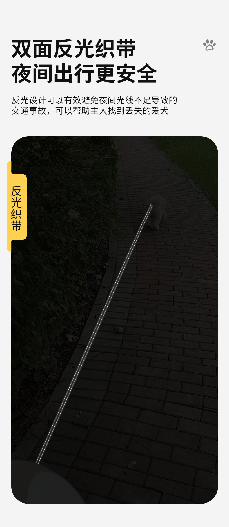 新款5M宠物牵引器自动伸缩狗狗牵引绳遛狗便携式狗绳链子宠物用品详情4