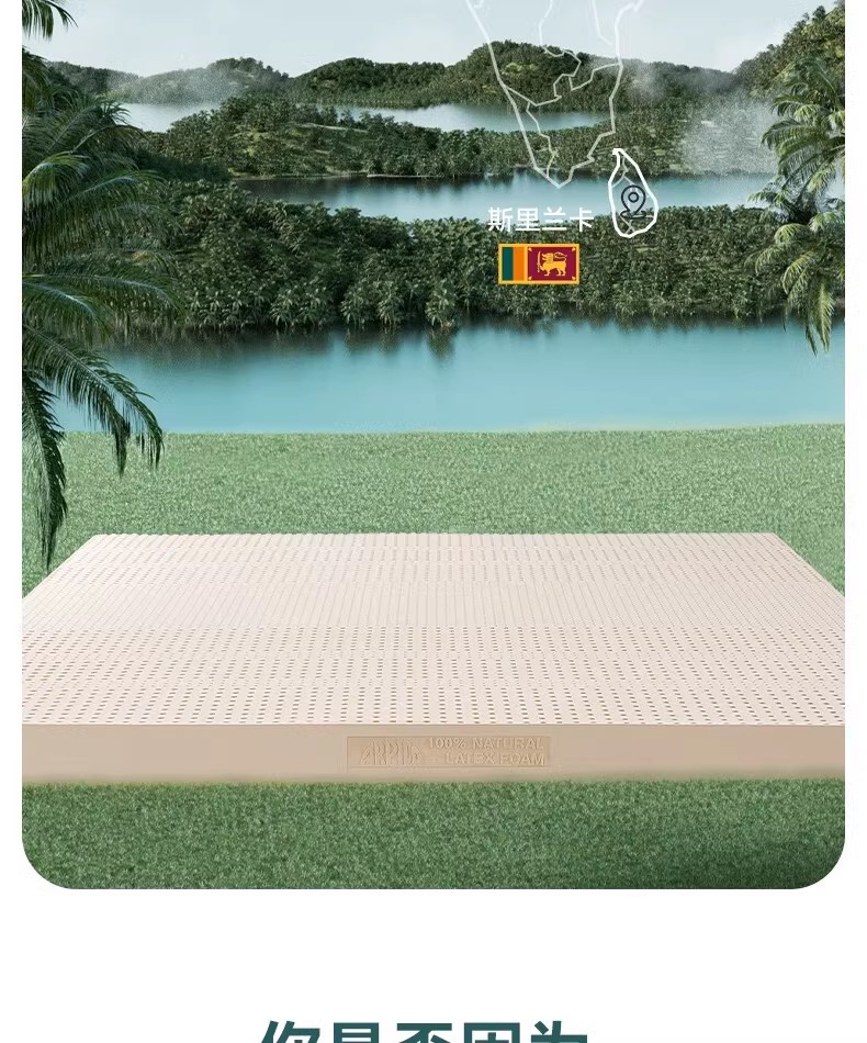 ARPICO乳胶床垫 斯里兰卡进口5cm厚1.8m天然橡胶床垫20cm可定制详情15