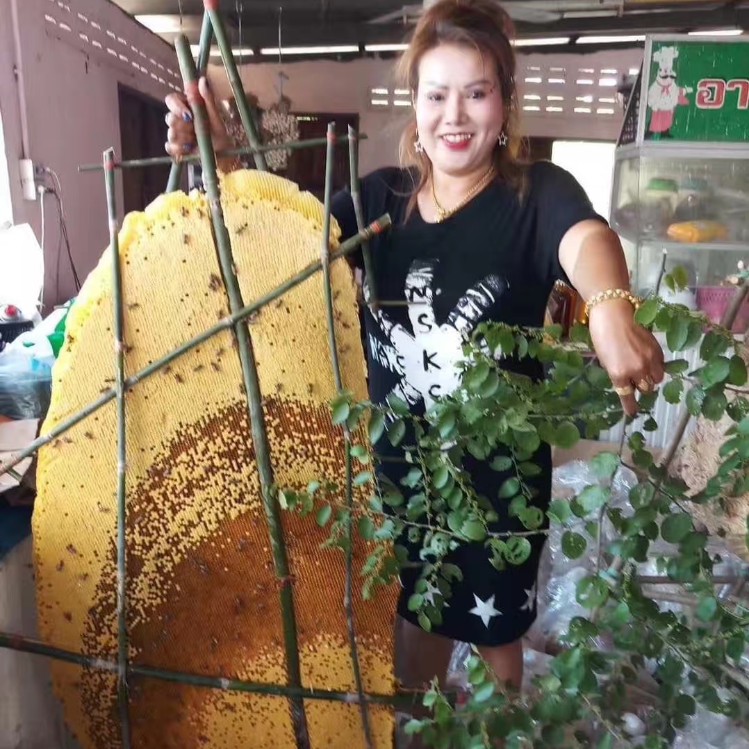 老挝野生蜂蜜1KG细节图