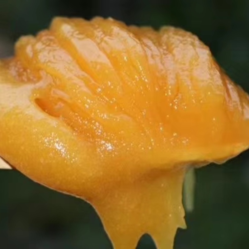 老挝野生蜂蜜1KG白底实物图