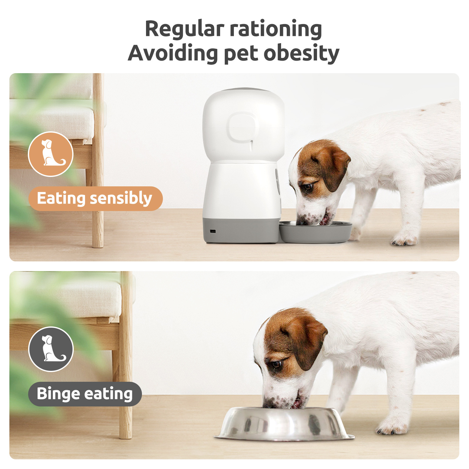 3.5L Fairy Feeder, pet intelligent feeding device, visual pet intelligent feeding device, large-capacity feeder details Picture