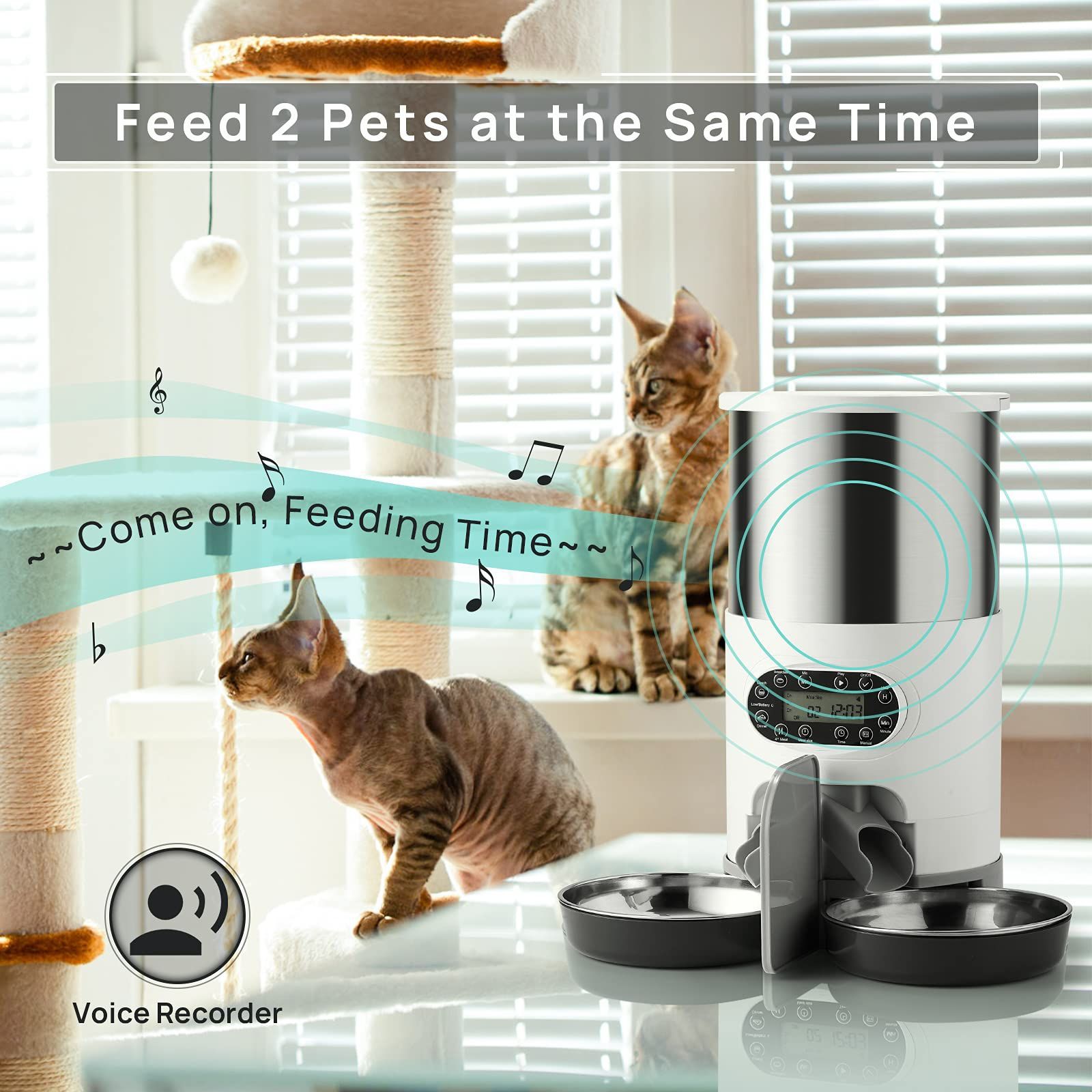 Stainless steel pet feeder, timed and quantified large-capacity automatic feeder, dual-purpose pet feeder Application Scenario