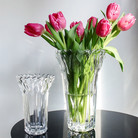北欧轻奢透明水晶玻璃花瓶高级感客厅餐桌插花摆件水养鲜花花器