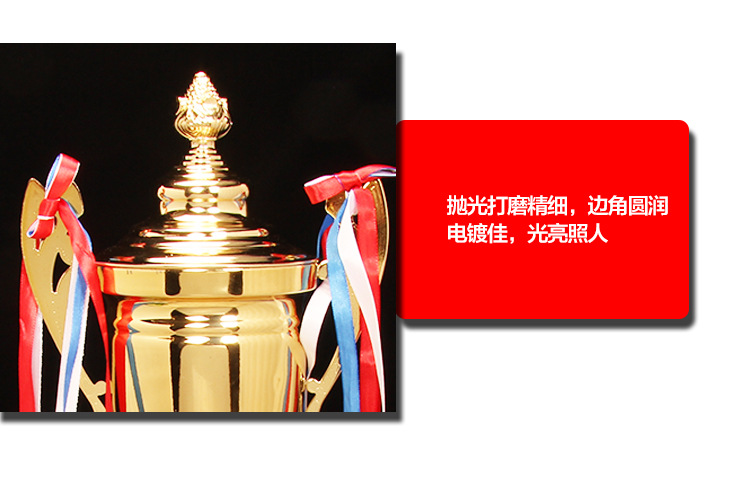 小嘟嘟XDJZ-7701金属奖杯定制工厂批发定做创意荣誉奖杯比赛运动员工颁奖纪念详情11