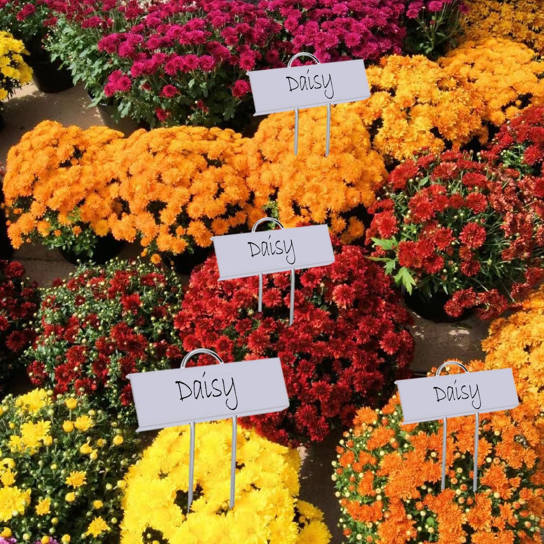 园林插牌/植物标签/园林标签细节图