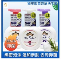 日本狮王儿童泡沫洗手液 250ml儿童植物泡沫洁净杀菌消毒洗手液水果香淡香紫花香