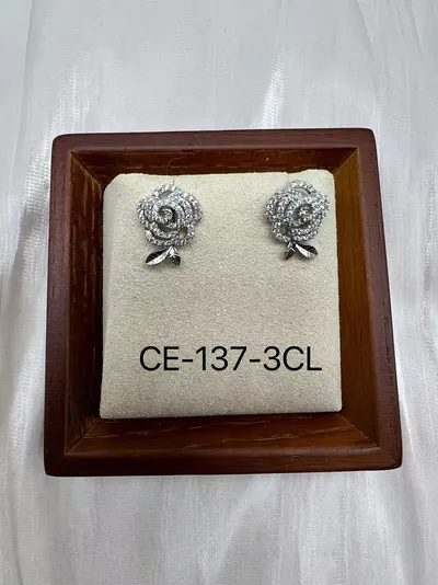 Hot New Product! Advanced Stud Earrings, Elegant Fashion, Low Price, Gift Box, Miss You May Regret!