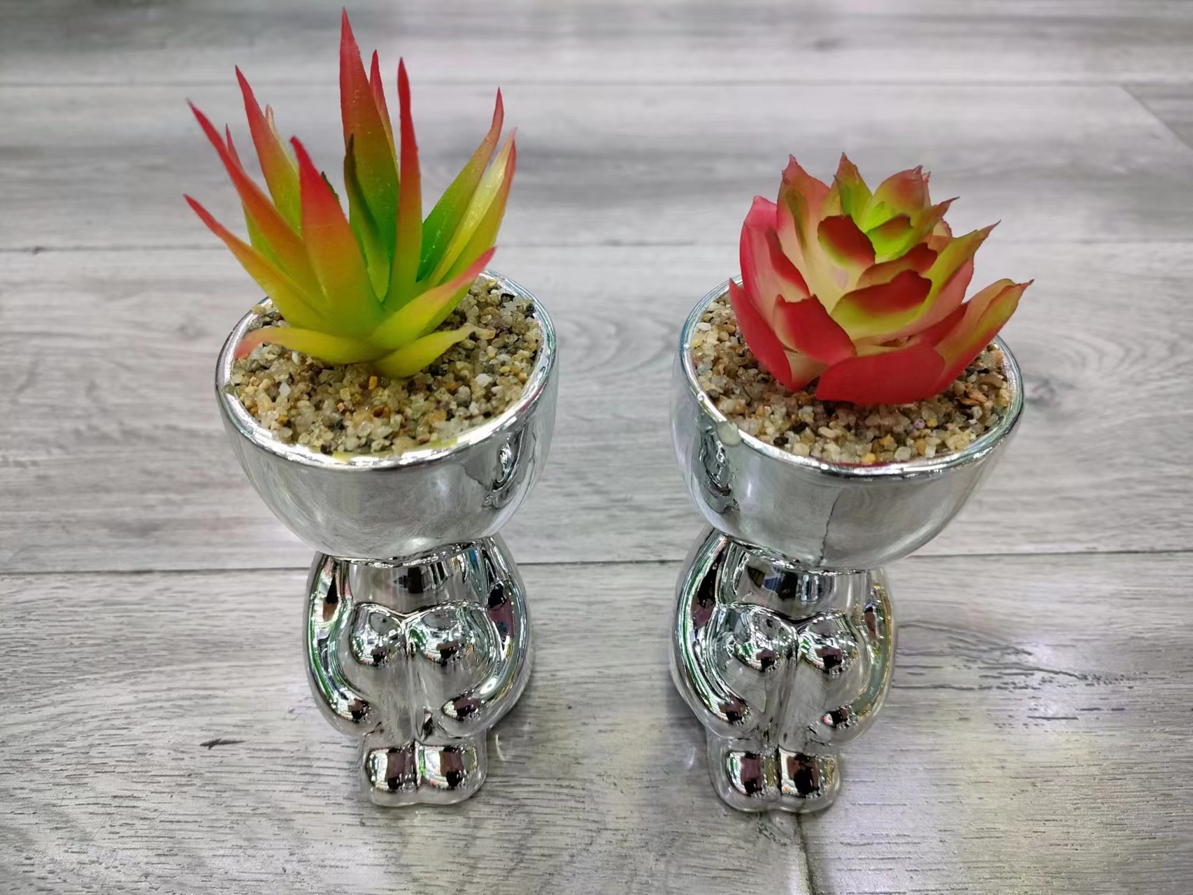 多肉/人偶多肉盆栽/陶瓷盆细节图