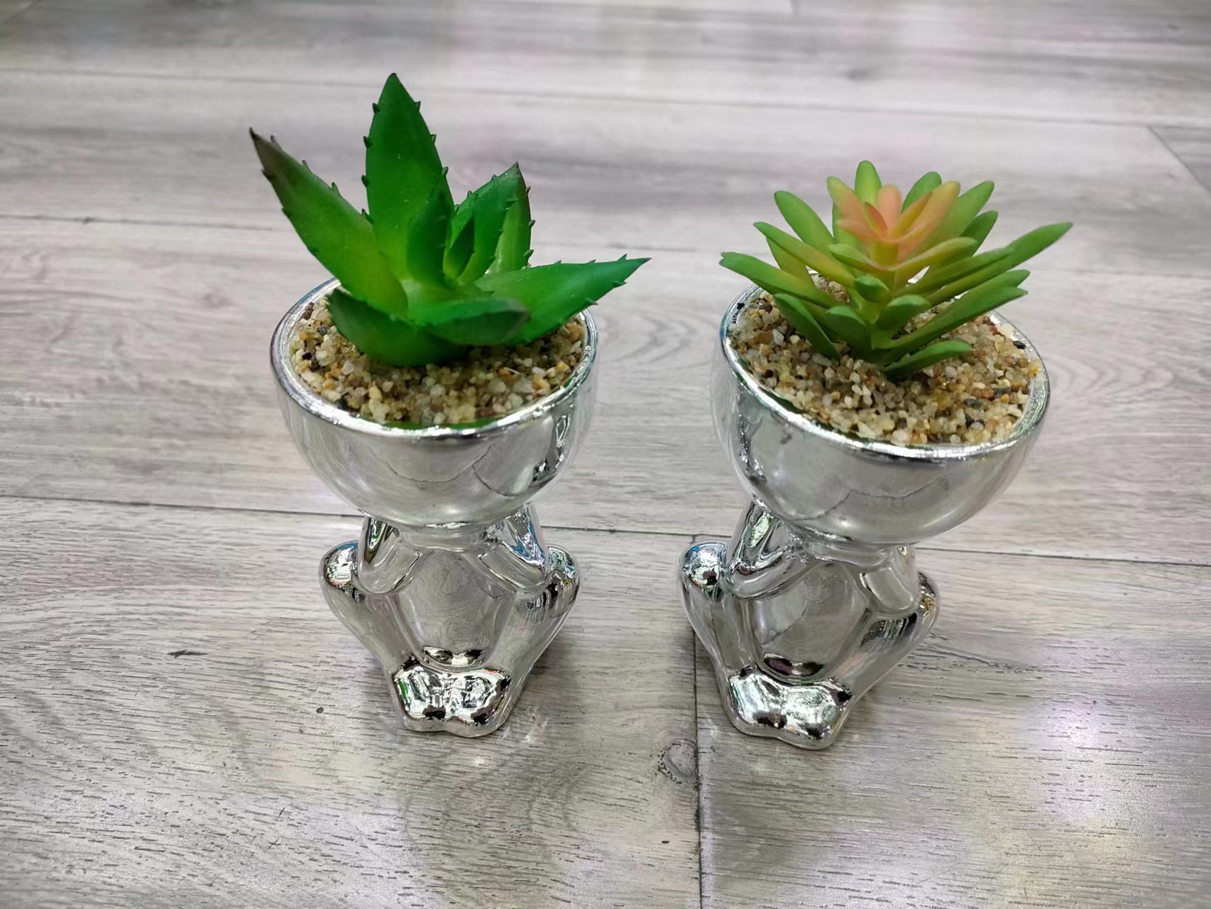 多肉/人偶多肉盆栽/陶瓷盆产品图