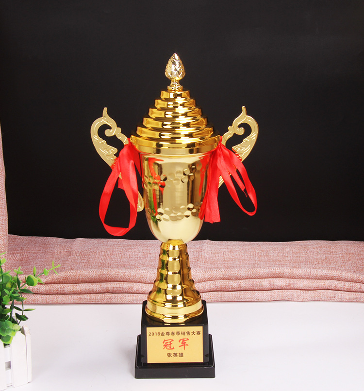 小嘟嘟XDJZ-9983学生奖杯奖品加印LOGOtkg名字奖杯 带盖金属奖杯厂家批发详情2