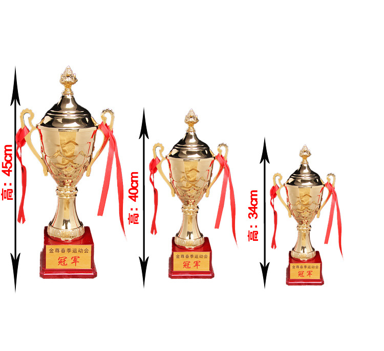 小嘟嘟XDJZ-811奖杯工厂批发811金属奖杯花纹金属奖杯学生金属奖杯定制详情8