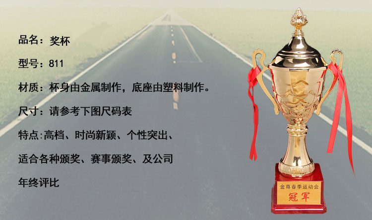 小嘟嘟XDJZ-811奖杯工厂批发811金属奖杯花纹金属奖杯学生金属奖杯定制详情4