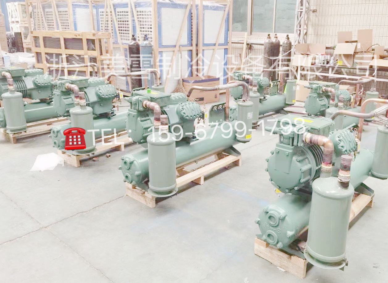 冷库机组 制冷机组冷库机组肉类水果保鲜库大小型冷库全套设备保鲜冷冻库厂家定制 