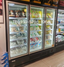 冷柜立式冷冻柜 展示柜超市立式双门保鲜柜
