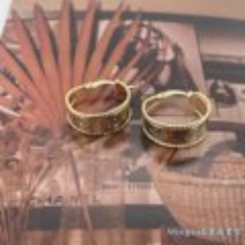 European and American retro creative earrings elegant temperament light luxury high design sense of commuter earrings thumbnail