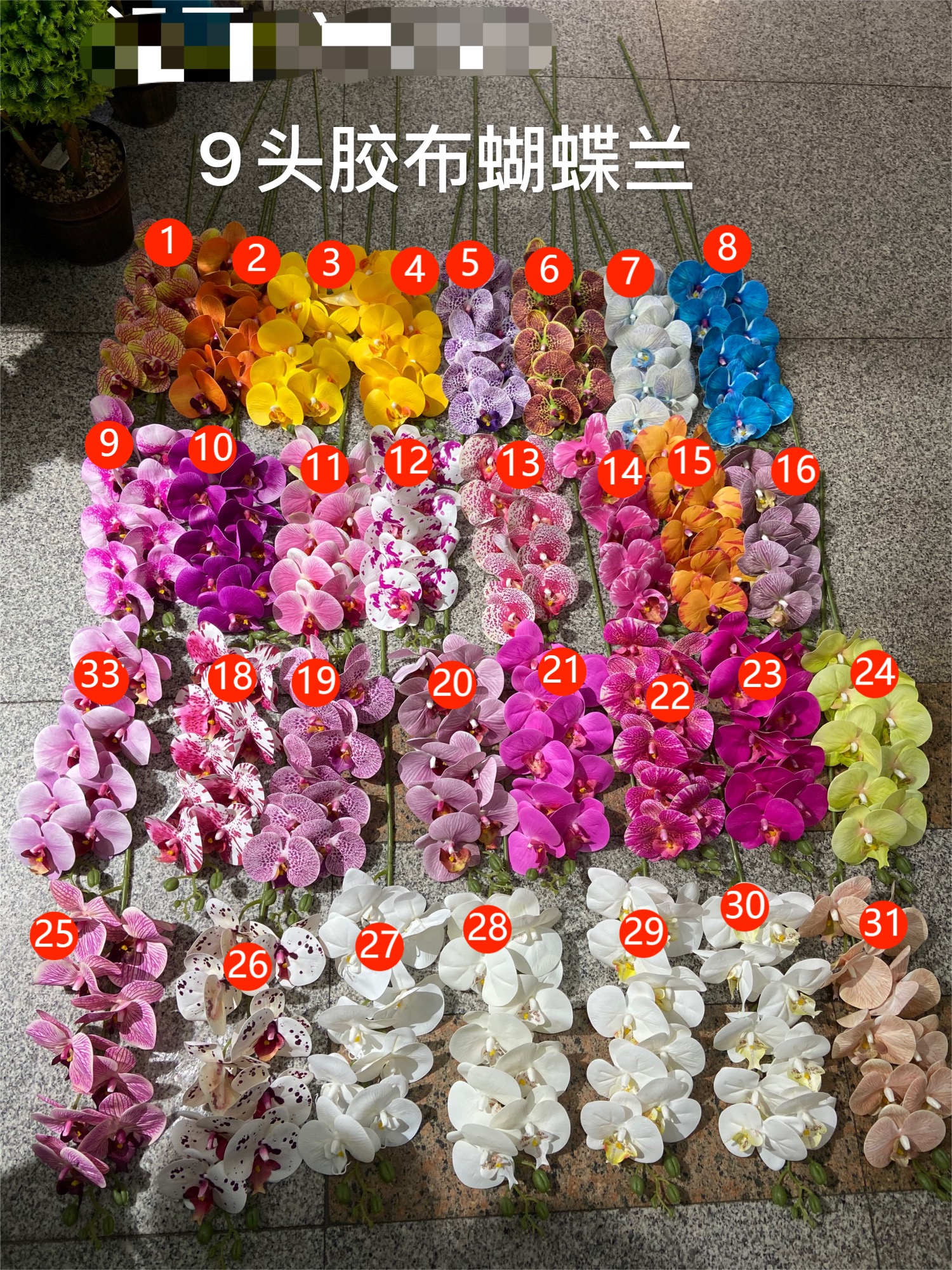 9头蝴蝶兰假花