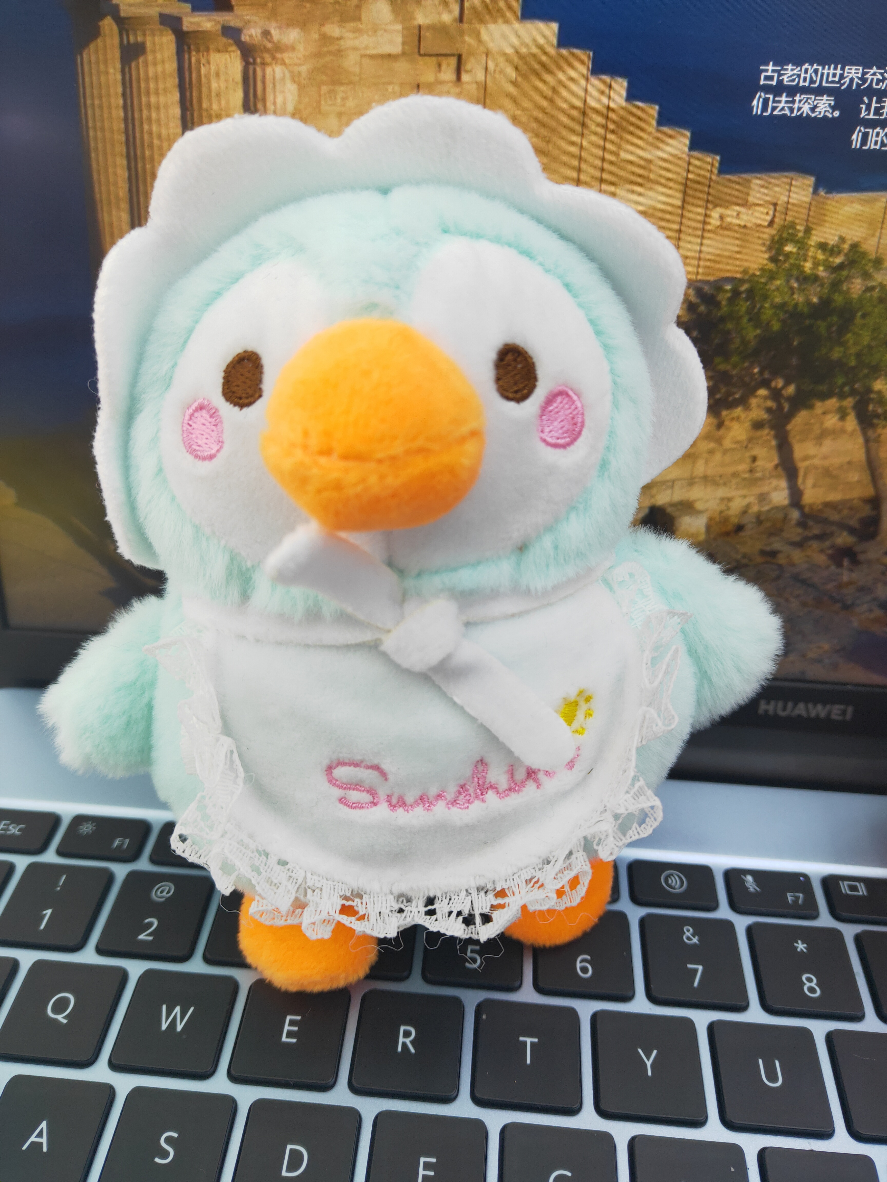 毛绒玩具/皮卡丘毛绒玩具/小玩具/充棉玩具/创意玩具细节图