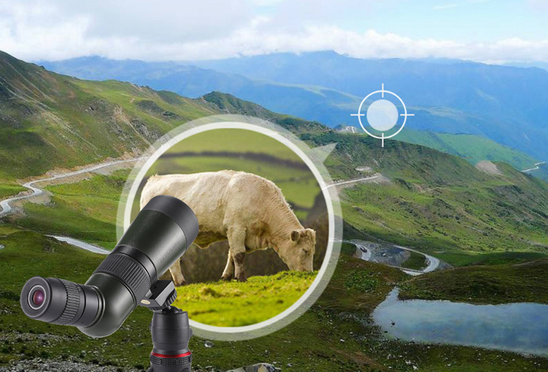 自由虎ZIYOUHU 追行远TU10-30X50系大口径单筒高倍高清微光夜视观鸟镜眼专业级望远镜详情25