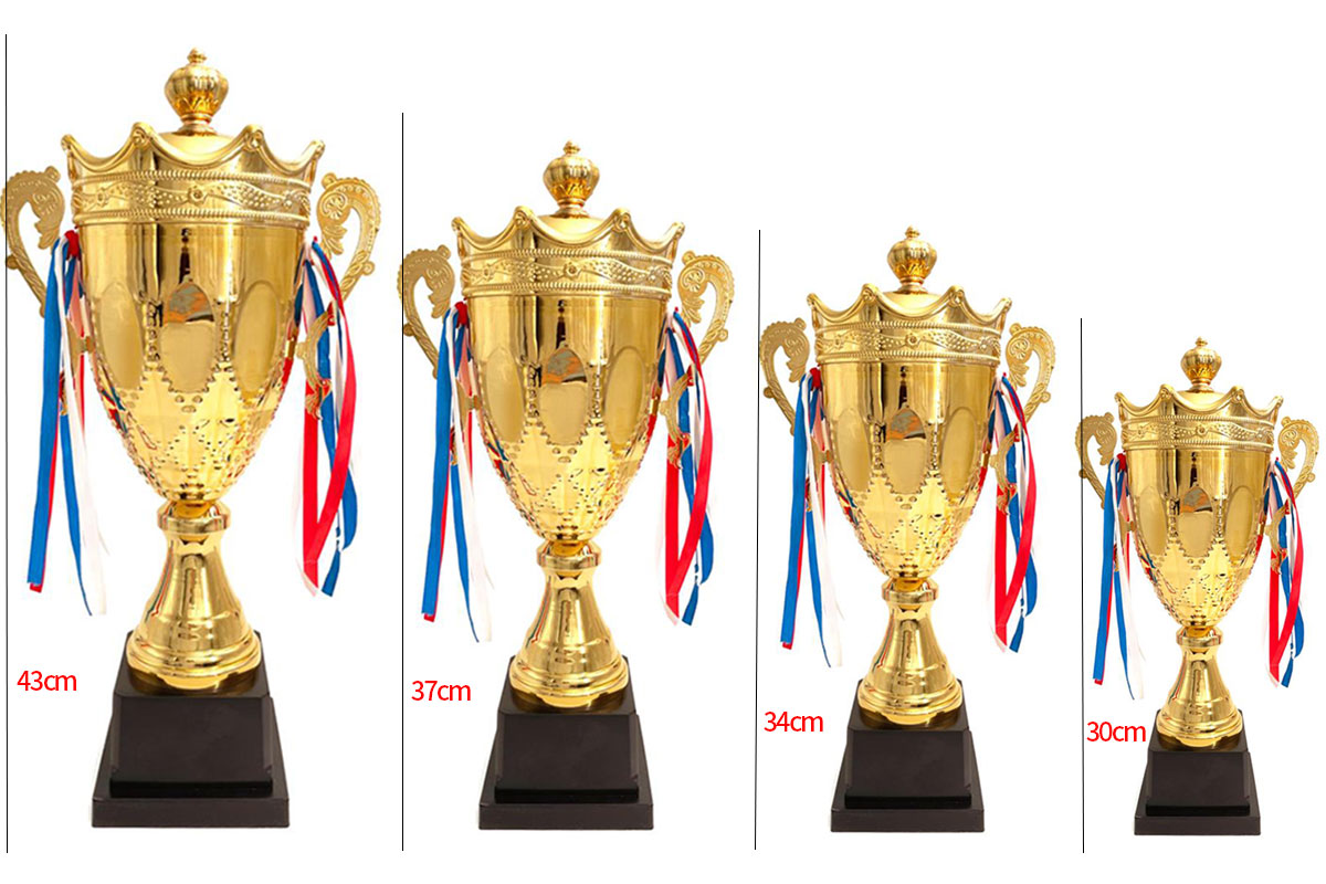 小嘟嘟XDYX-GX3个性金属奖杯奖牌制作刻字平衡车比赛体育世界杯金杯金银铜奖杯详情8