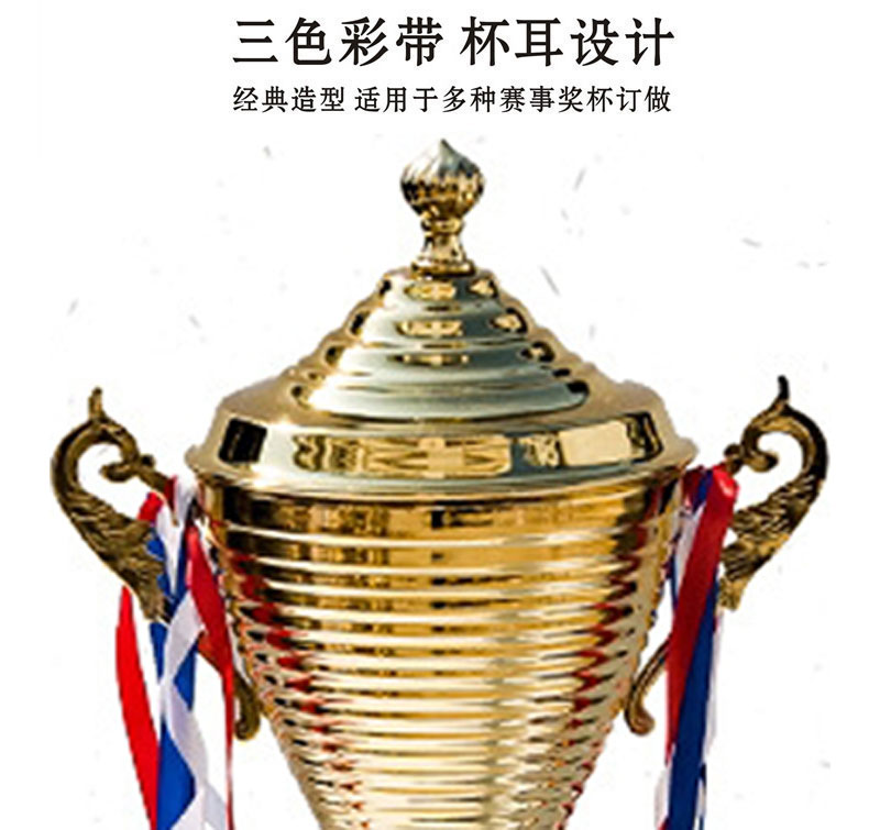小嘟嘟XDZT-015新款竞赛金属奖杯塑料金属运动会颁奖大奖杯可定制LOGO一件代发详情9