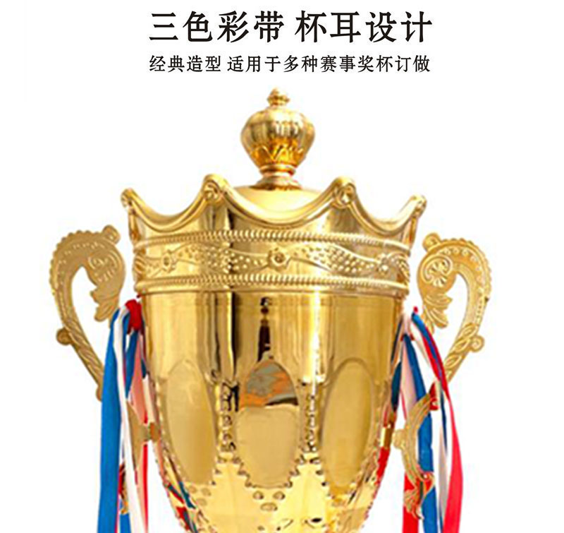 小嘟嘟XDYX-GX3个性金属奖杯奖牌制作刻字平衡车比赛体育世界杯金杯金银铜奖杯详情10