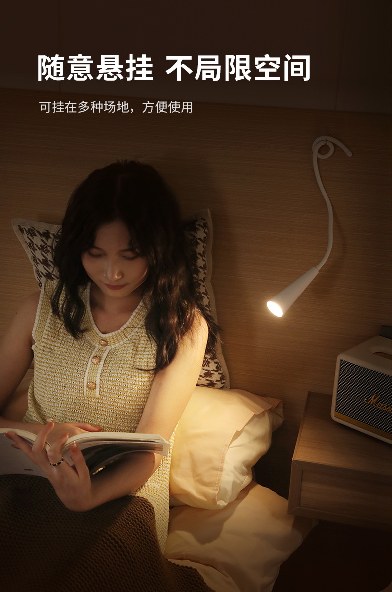 创意台灯充插两用学生宿舍床上用学习阅读软管可弯曲护眼小夜灯 详情7