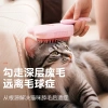 New pet electric spray comb, cat hair removal massage brush, floating hair removal steam spray cleaning pet products details Picture