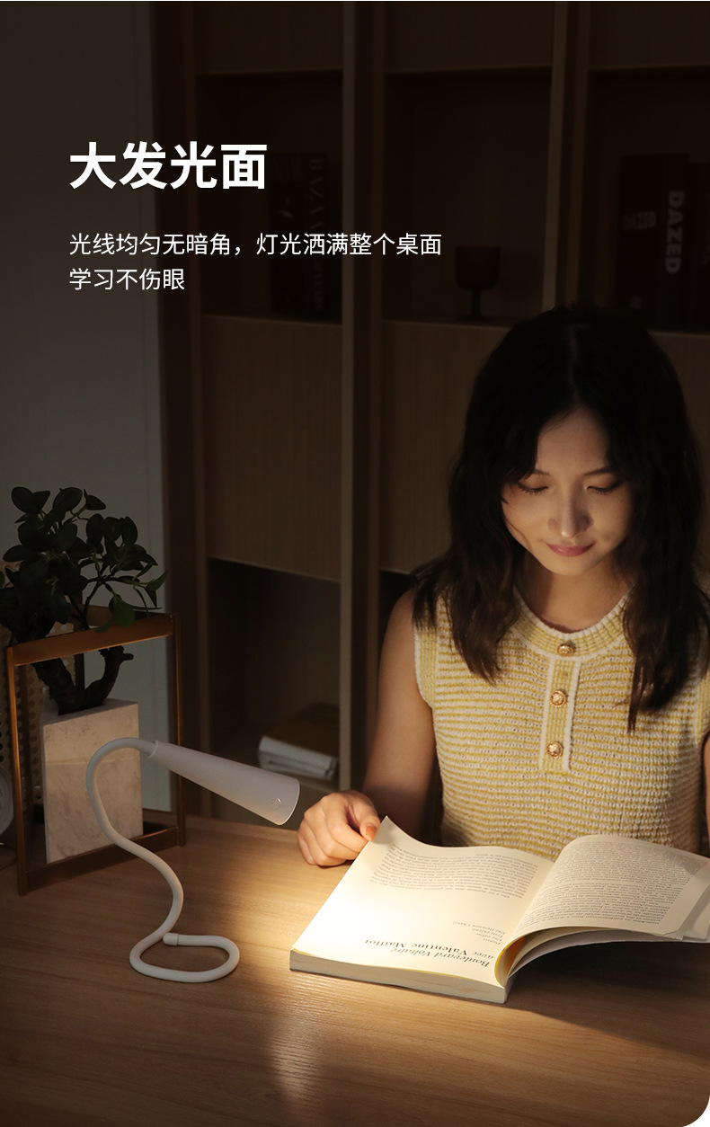 创意台灯充插两用学生宿舍床上用学习阅读软管可弯曲护眼小夜灯 详情2