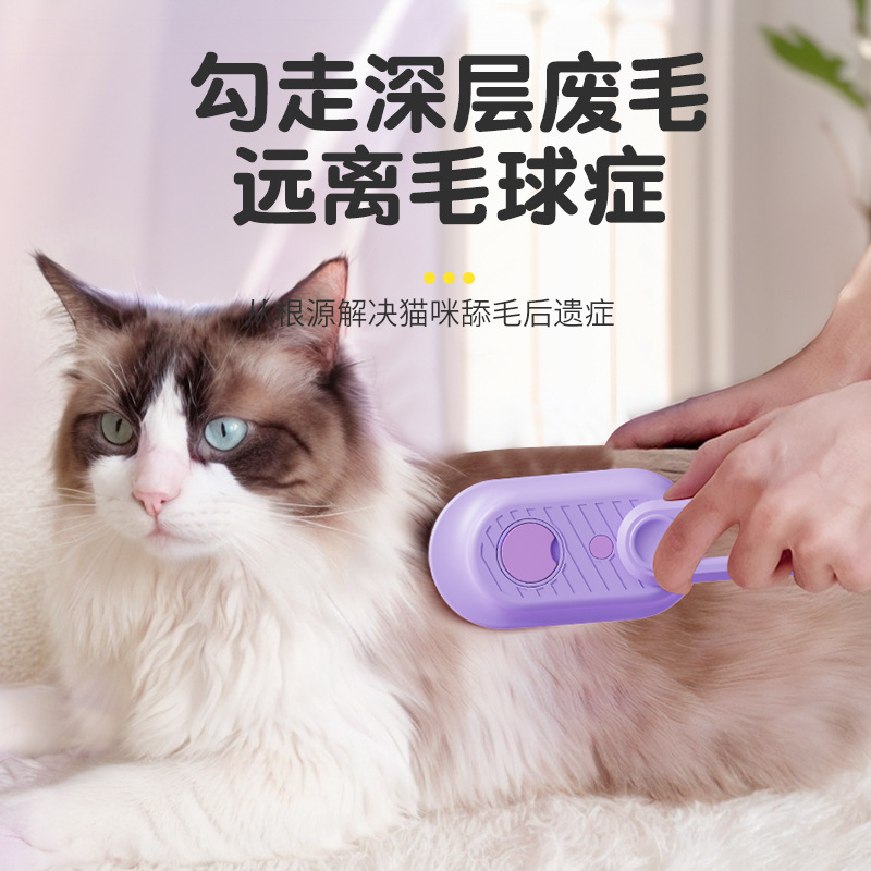 The new pet hair removal one-click steam spray brush can rotate to remove floating hair. It is a cat brush and a massage dog hair removal product details Picture