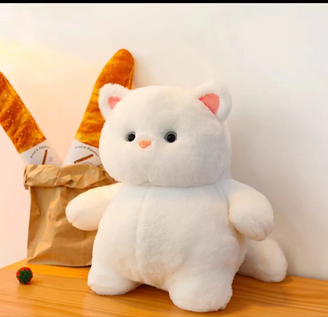 Cat Doll Chubby Cat Cute Plush Doll Boys And Girls Gifts Wholesale Cute Soft Adorable Doll Specification drawing