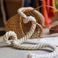 编织棉绳 棉线绳1-12mm手工diy编织挂毯绳捆绑装饰绳吊牌绳镶嵌绳白底实物图