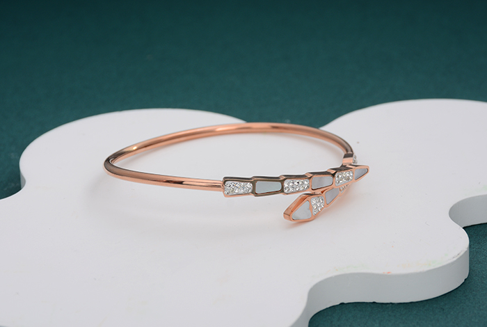 European, American and Korean personalized and fashionable shell mud diamond bracelet, titanium steel rose gold bracelet accessory, women's gift trend pic 5