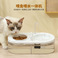 宠物喂食饮水一体机自动喂水大容量不锈钢陶瓷碗猫咪食具宠物用品图