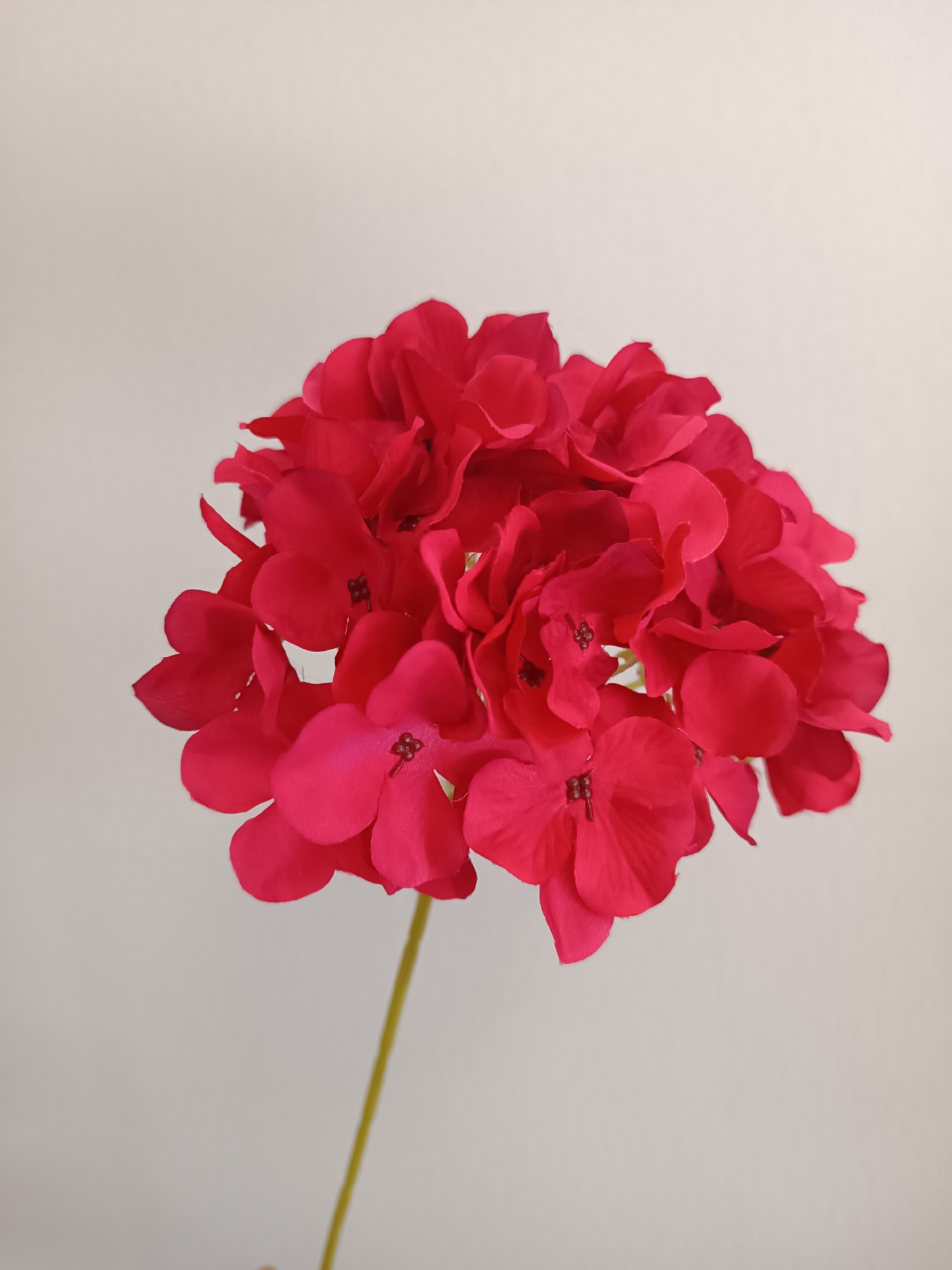 A Single 72-Piece Hydrangea Wedding Hand Bouquet With A Hand-Made Artificial Flower Arch Way Home Artificial Flower details Picture