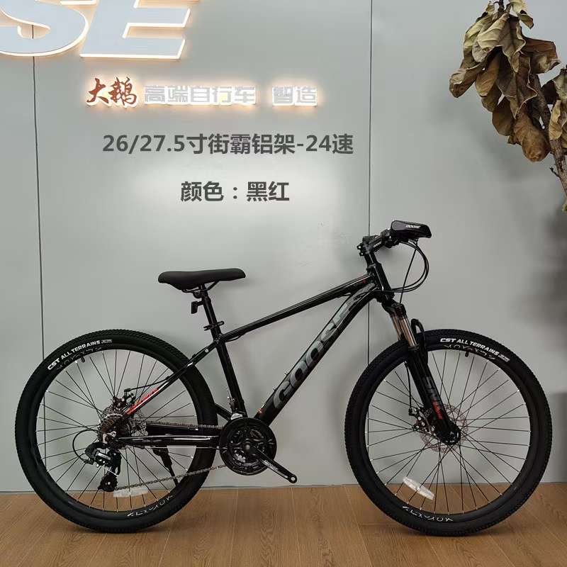 自行车实物图