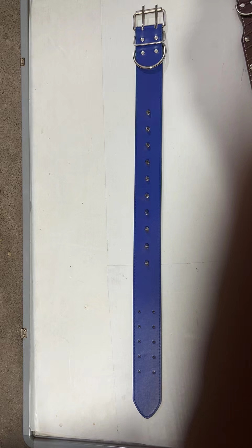 Pet Supplies Collar Pet Collar Pet Collar Application Scenario
