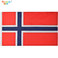 小嘟嘟XDSQ-NOR35跨境货源亚马逊欧洲杯挪威国旗3*5ft牛津布室内户外拼接旗帜图