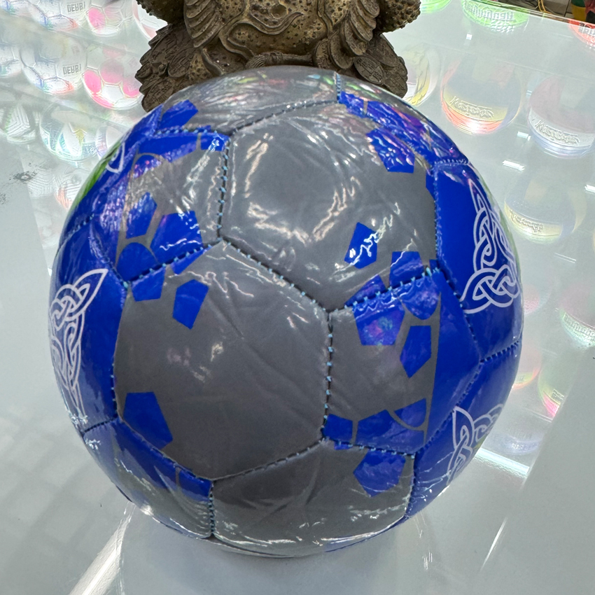 批发2号足球恐龙卡通动物足球校园幼儿宝宝足球厂家直销详情7