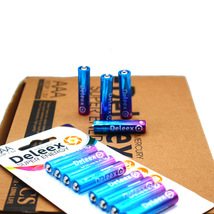 Deleex干电池碳性电池5号电池遥控器电动玩具小家电AAAR03P