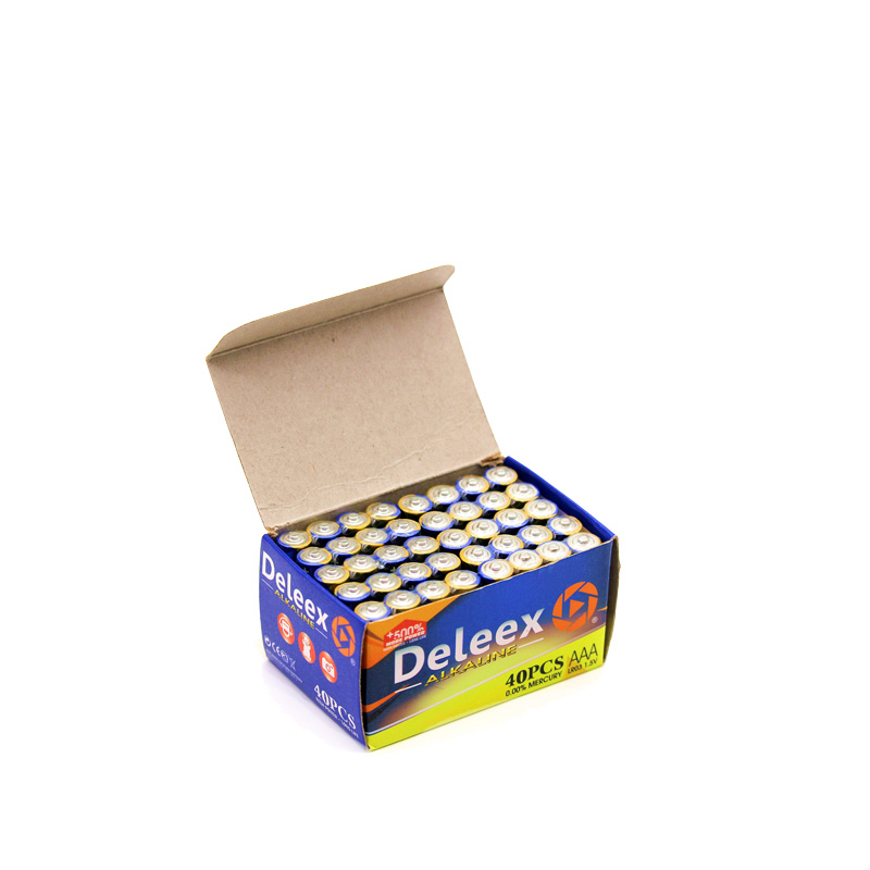 Deleex干电池碱性电池5号电池遥控器电动玩具小家电AAALR03简装4支装