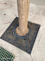 钢板201工厂来图定做护树板304不锈钢树篦子树池盖板铸铁树坑围子