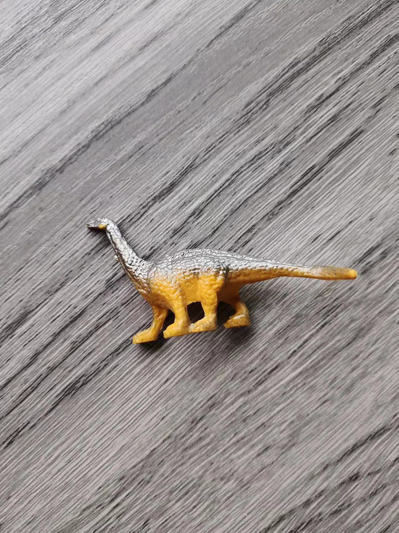 小恐龙 玩具